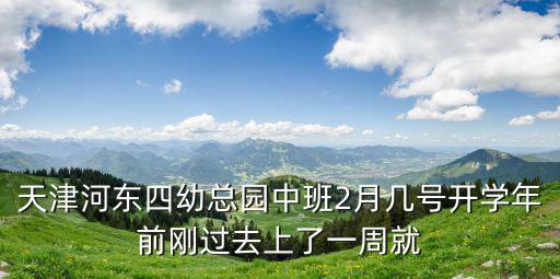 天津河東四幼總園中班2月幾號開學年前剛過去上了一周就