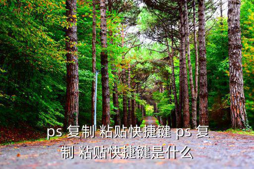  ps 復制 粘貼快捷鍵 ps 復制 粘貼快捷鍵是什么