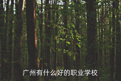 廣州的職業技術學院名次，廣州有沒有比較好的職業學校