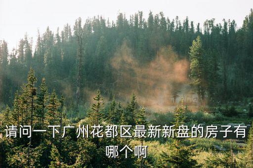 新樓盤廣州花都，廣州花都有哪些新樓盤2010年