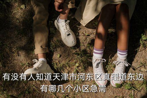 有沒有人知道天津市河東區真理道東邊有哪幾個小區急需
