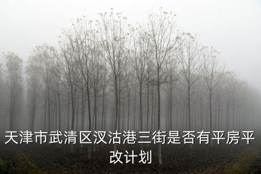 天津市武清區(qū)汊沽港三街是否有平房平改計(jì)劃