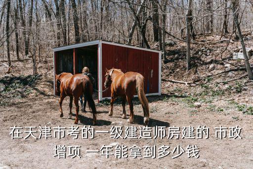 在天津市考的一級建造師房建的 市政增項 一年能拿到多少錢