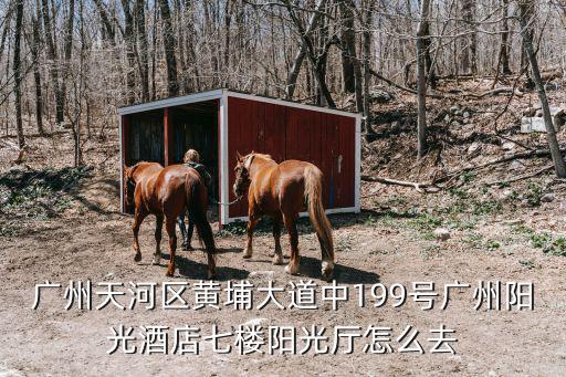 廣州天河區黃埔大道中199號廣州陽光酒店七樓陽光廳怎么去