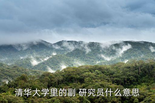 清華大學里的副 研究員什么意思