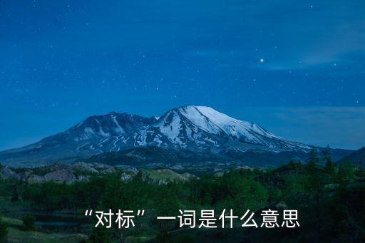 “對標”一詞是什么意思