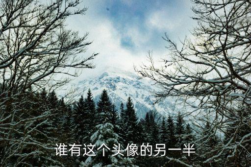 誰(shuí)有這個(gè)頭像的另一半