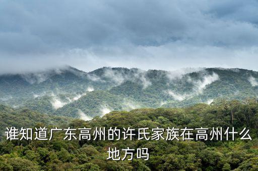 誰知道廣東高州的許氏家族在高州什么地方嗎