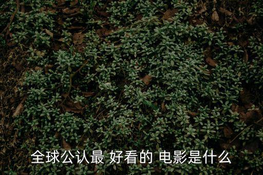 全球公認最 好看的 電影是什么