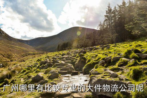 廣州哪里有比較專業(yè)的大件物流公司呢