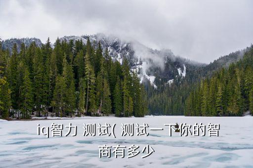  iq智力 測試( 測試一下你的智商有多少