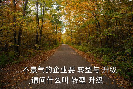 ...不景氣的企業要 轉型與 升級,請問什么叫 轉型 升級