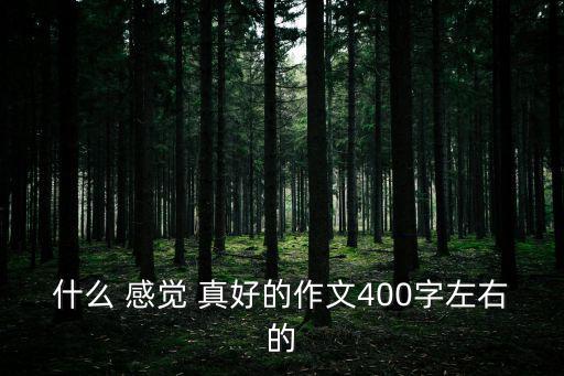 這樣的感覺真好,假期過后老師放開線讓我飛向夢想地方