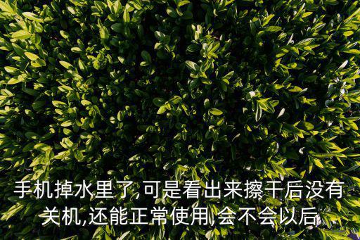 會不會有以后,入水后不要頻繁移動或晃動手機以免水分擴散