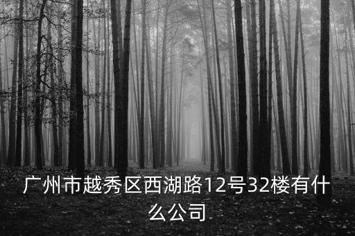 廣州市越秀區(qū)西湖路12號32樓有什么公司