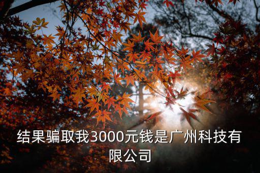 結果騙取我3000元錢是廣州科技有限公司