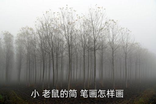 畫老鼠簡筆畫,跟著小老鼠學jane筆畫吧!