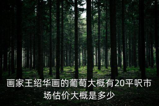 畫家王紹華畫的葡萄大概有20平呎市場估價大概是多少