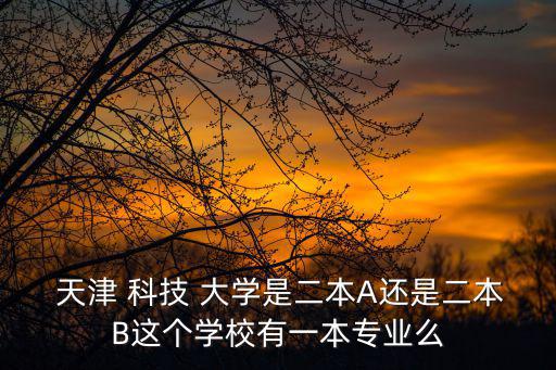  天津 科技 大學是二本A還是二本B這個學校有一本專業么