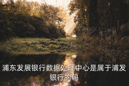 浦東發(fā)展銀行數(shù)據(jù)處理中心是屬于浦發(fā)銀行的嗎