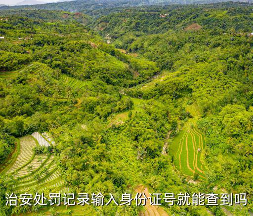 輸入姓名就可以查犯罪記錄，身份證查詢犯罪記錄