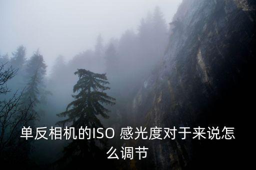 iso感光度,國際標準化組織:iso感光度是一種光的敏感度