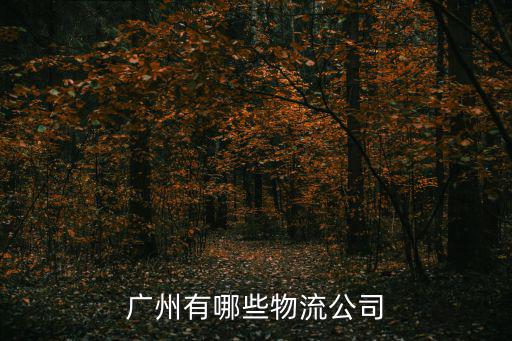 廣州有哪些物流公司