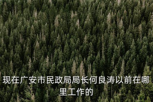 現在廣安市民政局局長何良濤以前在哪里工作的