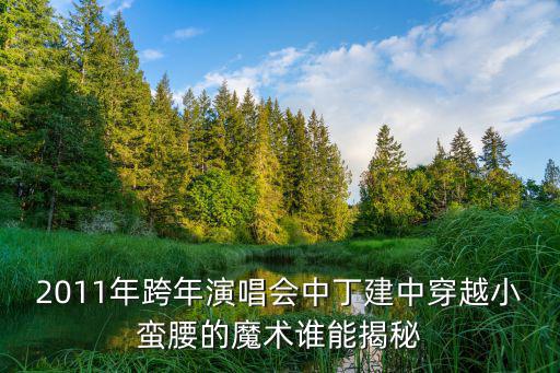 2011年跨年演唱會中丁建中穿越小蠻腰的魔術誰能揭秘