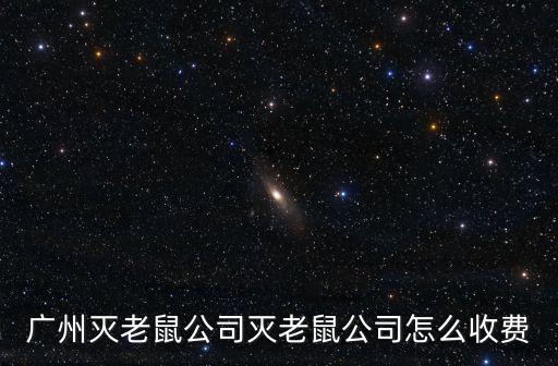 廣州滅老鼠公司滅老鼠公司怎么收費