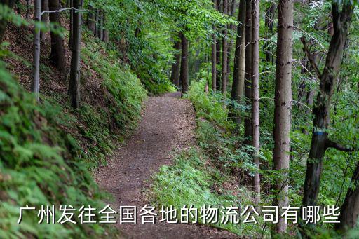 廣州的物流公司有那些，廣州發往全國各地的物流公司有哪些