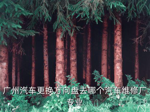 廣州汽車(chē)更換方向盤(pán)去哪個(gè)汽車(chē)維修廠專(zhuān)業(yè)