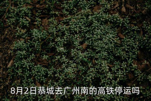 8月2日恭城去廣州南的高鐵停運(yùn)嗎