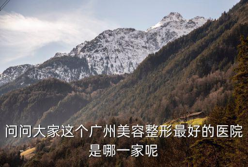 問問大家這個廣州美容整形最好的醫(yī)院是哪一家呢