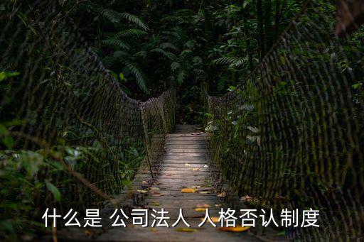 什么是 公司法人 人格否認制度