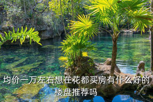 均價一萬左右想在花都買房有什么好的樓盤推薦嗎