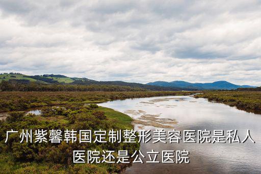 廣州紫馨韓國定制整形美容醫院是私人醫院還是公立醫院