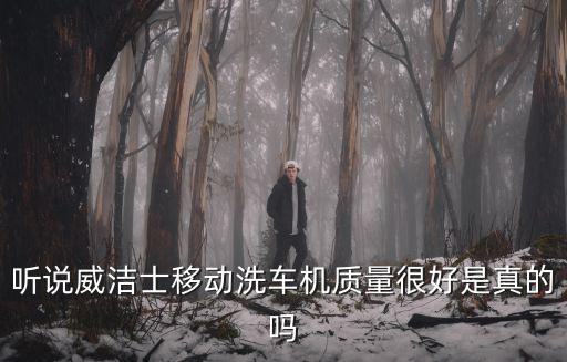 聽說威潔士移動洗車機質量很好是真的嗎