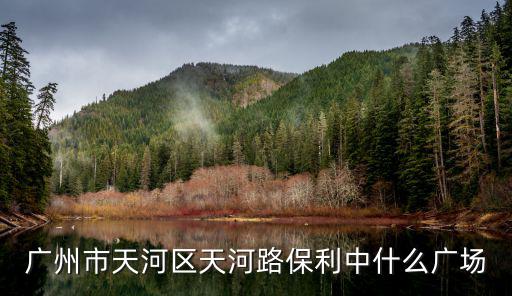 廣州保利中央公園廣場，保利中央公園這個樓盤怎么樣啊