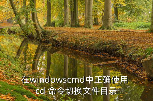 在windowscmd中正確使用 cd 命令切換文件目錄