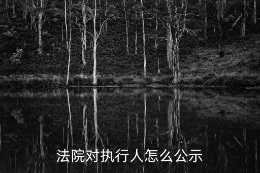 法院對執行人怎么公示
