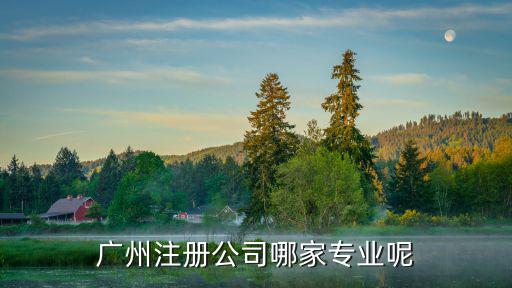 廣州注冊(cè)公司哪家專業(yè)呢