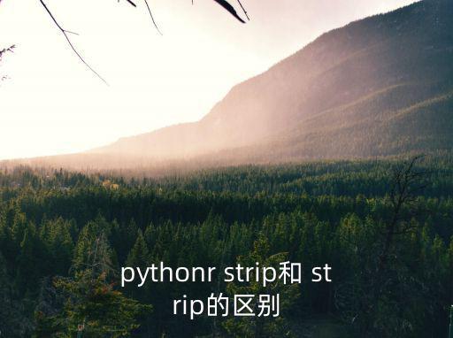 pythonr strip和 strip的區別