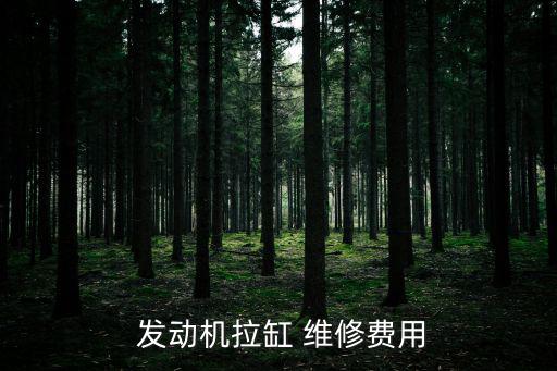  發(fā)動機拉缸 維修費用