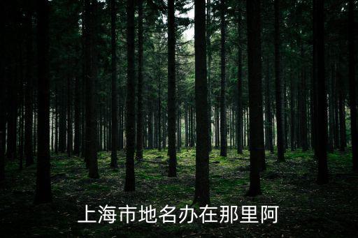 上海市市政大廈地址，上海大廈的地址