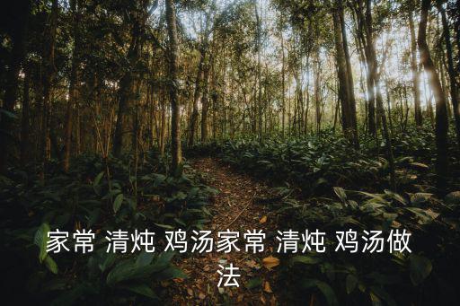 家常 清燉 雞湯家常 清燉 雞湯做法
