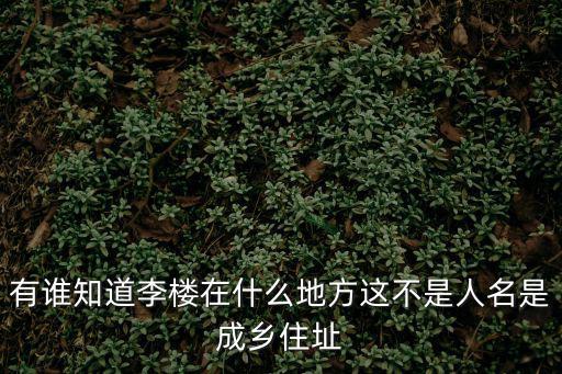 有誰知道李樓在什么地方這不是人名是成鄉住址