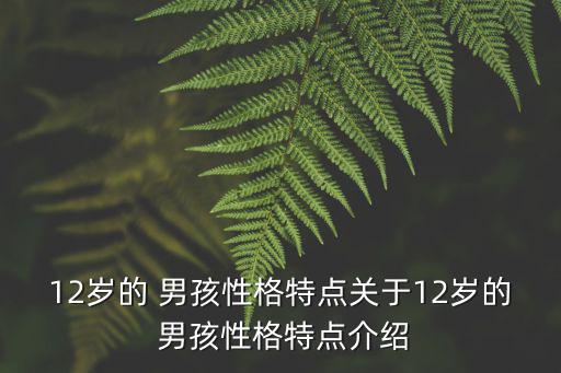 12歲的 男孩性格特點關于12歲的 男孩性格特點介紹