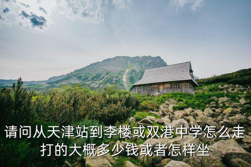 請問從天津站到李樓或雙港中學怎么走打的大概多少錢或者怎樣坐