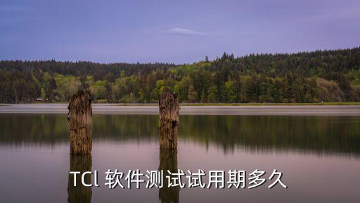 TCl 軟件測試試用期多久
